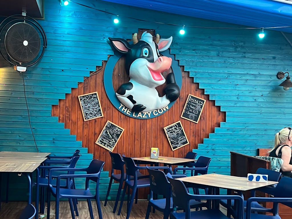 The Lazy Cow — Ambiente