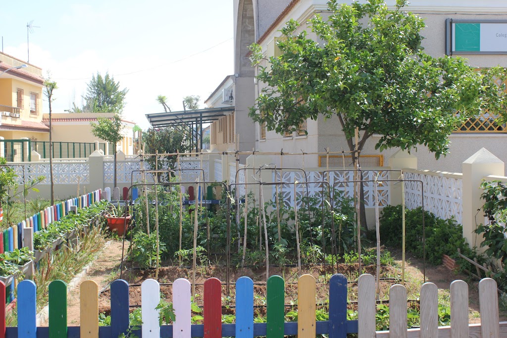 Colegio Publico Principe Felipe