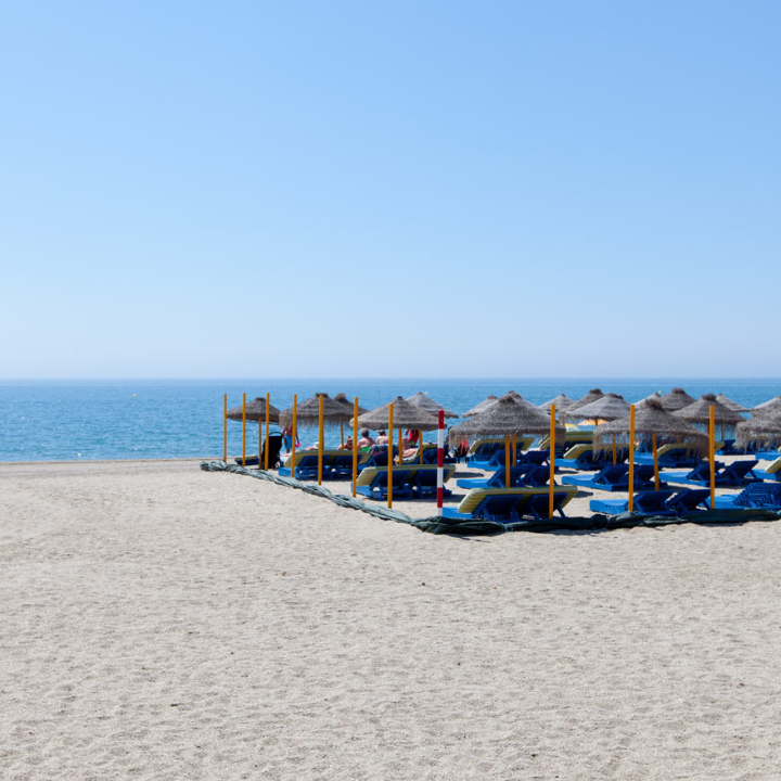 Olympo Beach Bar — Del propietario