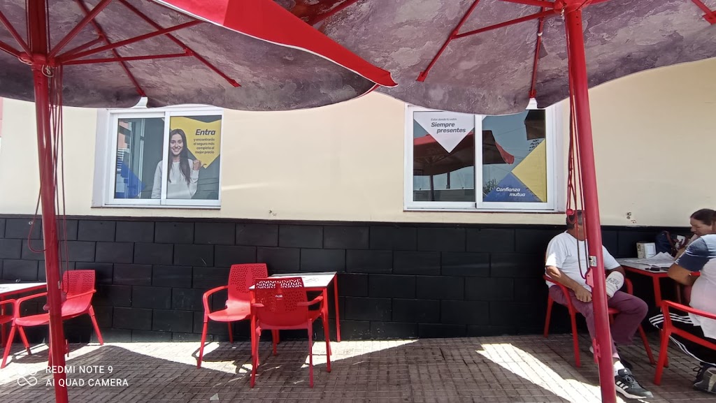 Agencia Exclusiva Mutua Tinerfena de Seguros