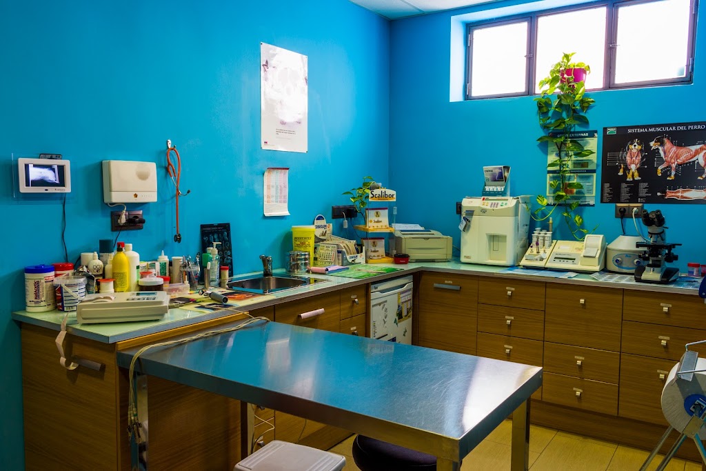 Clinica Veterinaria Alcazaba — Del propietario