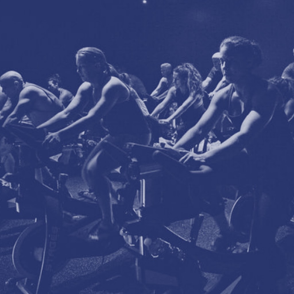  Evolve Cycle and Fitness