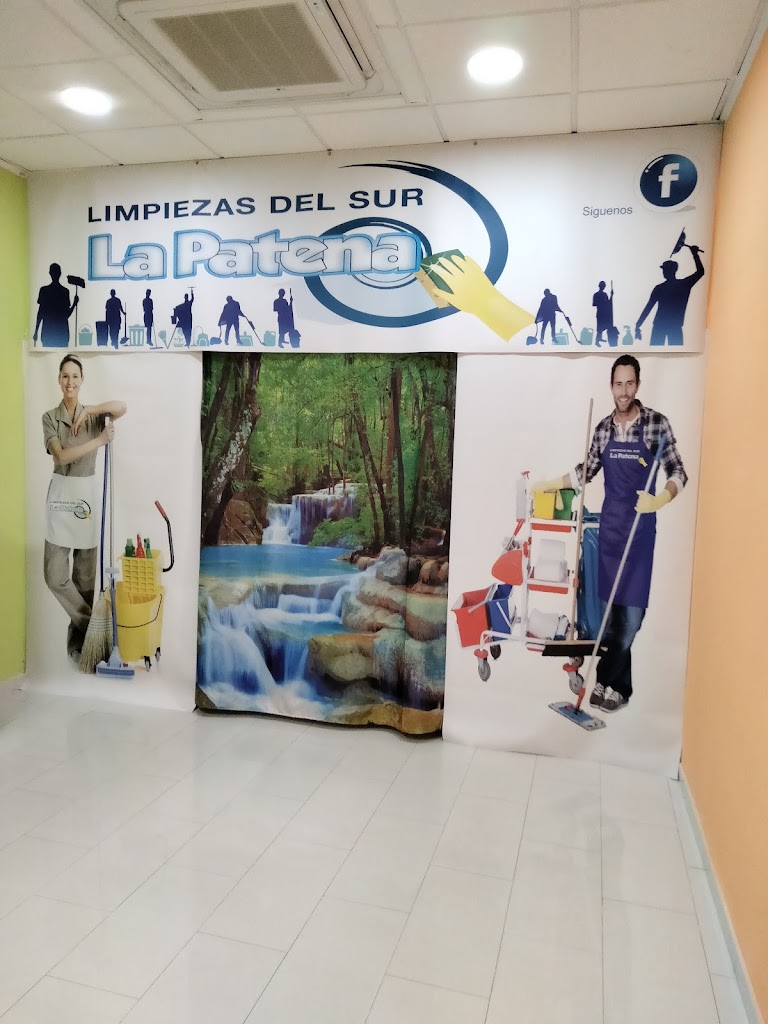 LIMPIEZAS DEL SUR "LA PATENA"