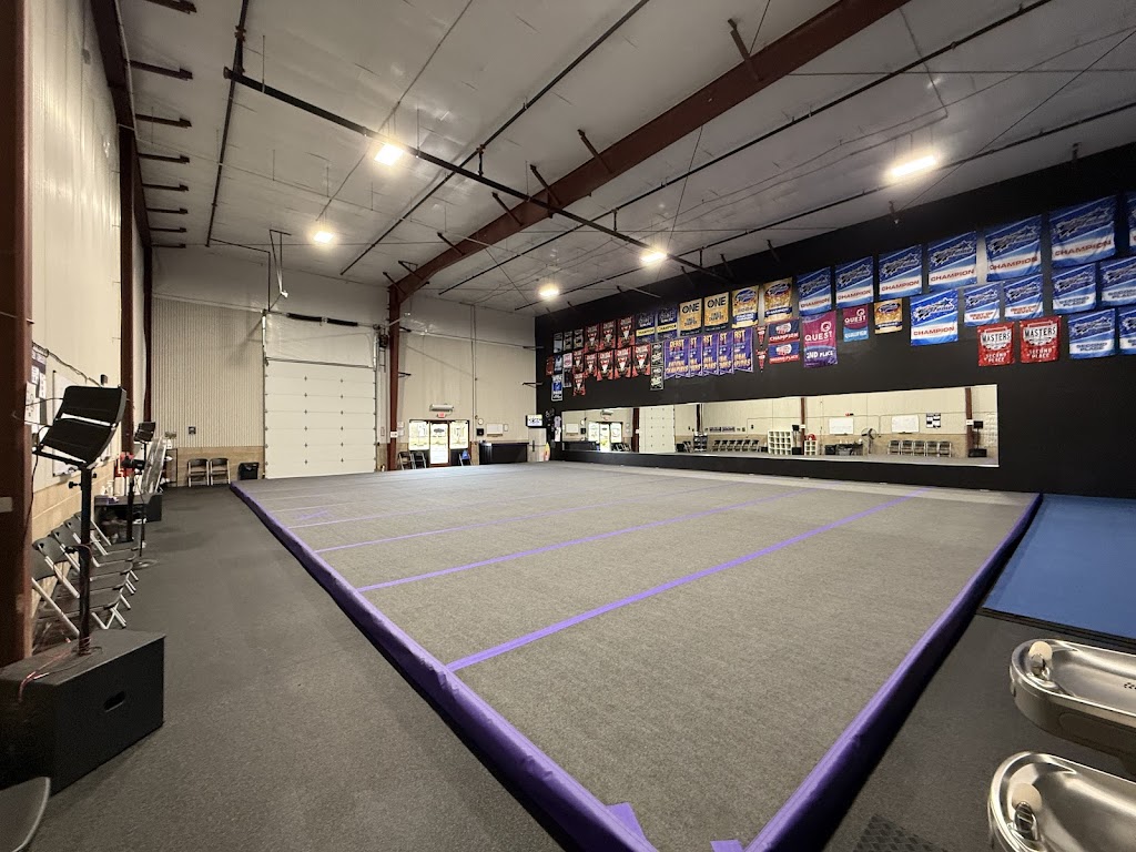  Supreme Loyalty Cheer