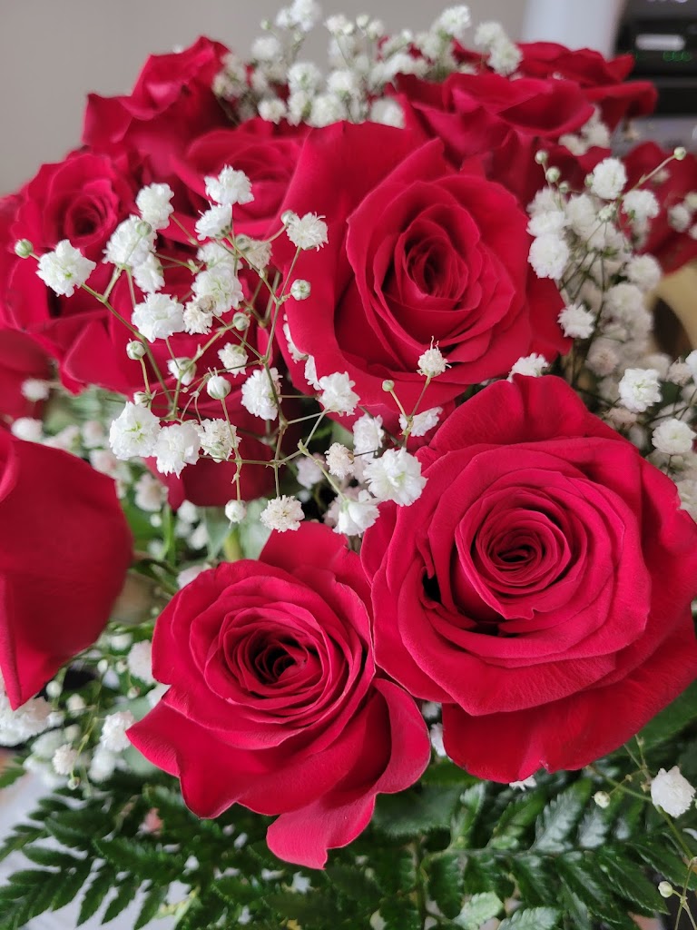 Queen Anna's Flowers