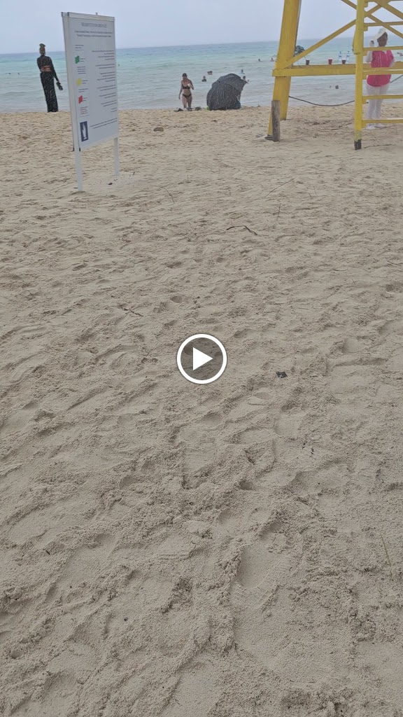 Videos