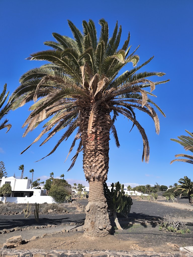 Aparcamiento Discapacitados