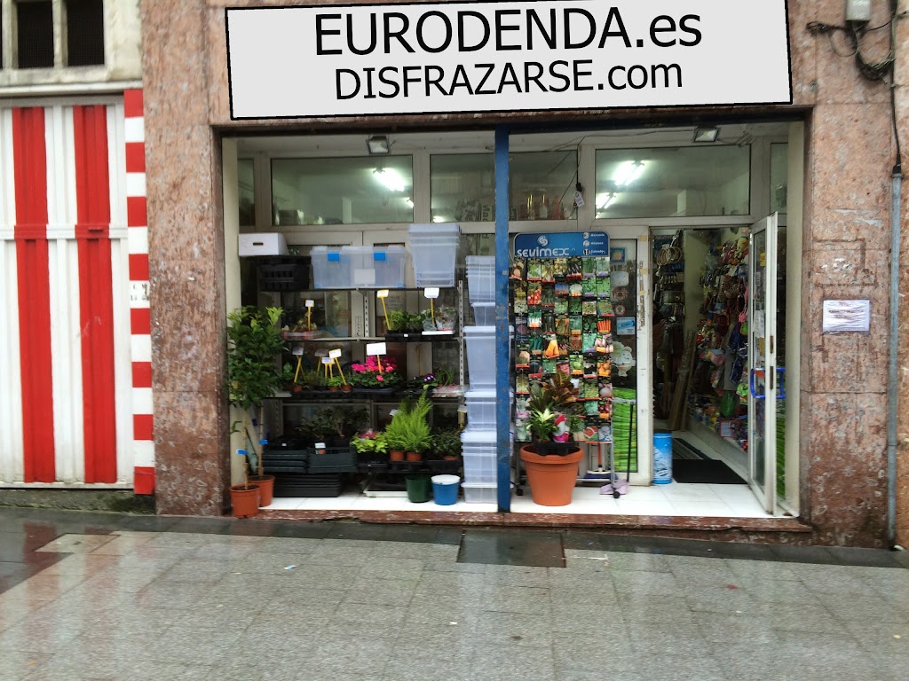 Foto 2 de Eurodenda