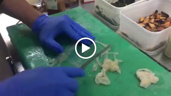 TABERNA ATLANTICA LA EXSCAMA — Videos