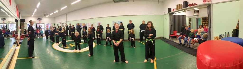  Defiance Karate LLC.