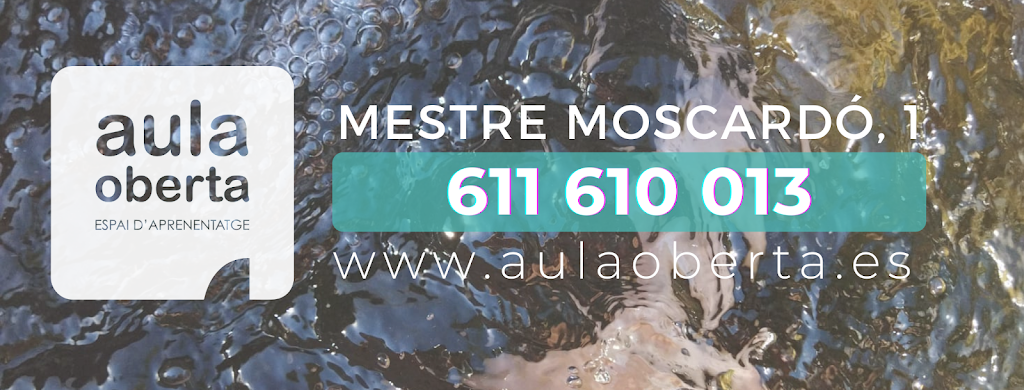 AULA OBERTA Alzira