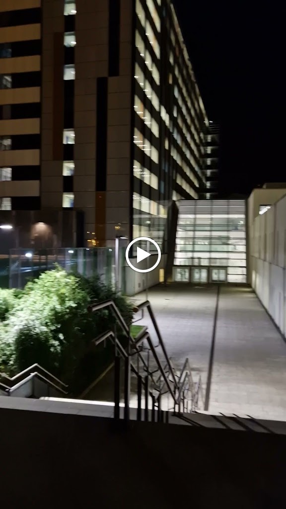 P2 Hospitalizacion — Videos