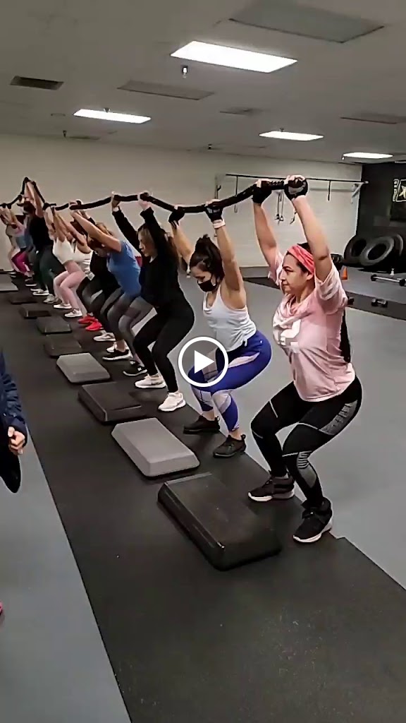  Pro results nutrition