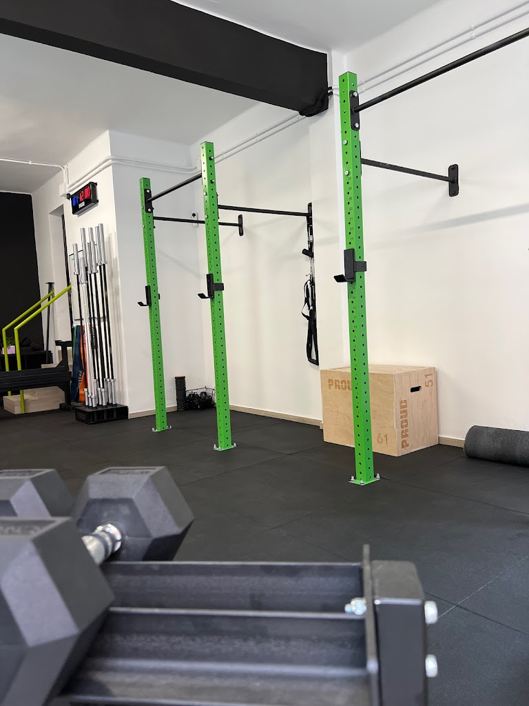 The Original Training Co.