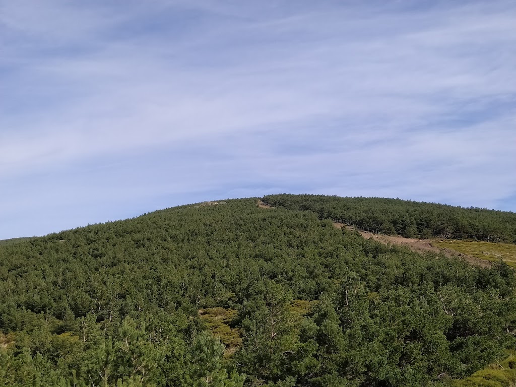 Cerro del Garganton