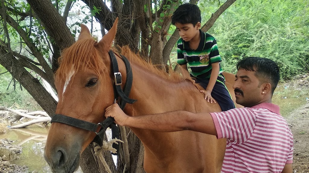 Om Banna Restaurant Hotel Beetan