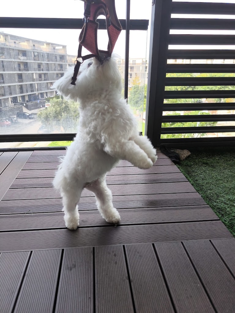 Foto da avaliação