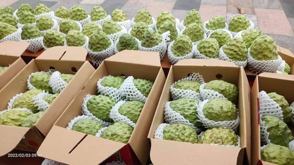 逢甲阿郎鹽酥雞金城店 的照片