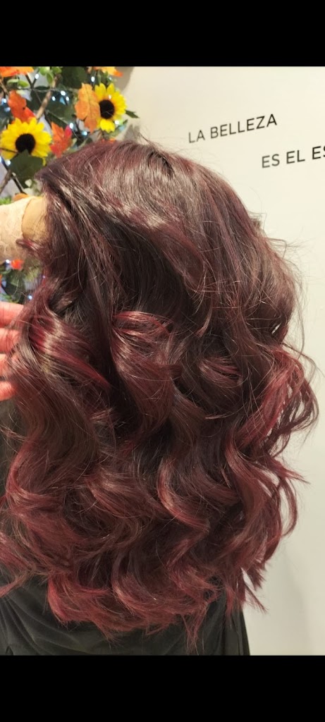 EBANNI PELUQUERIAS CC PLAZA EBOLI PINTO