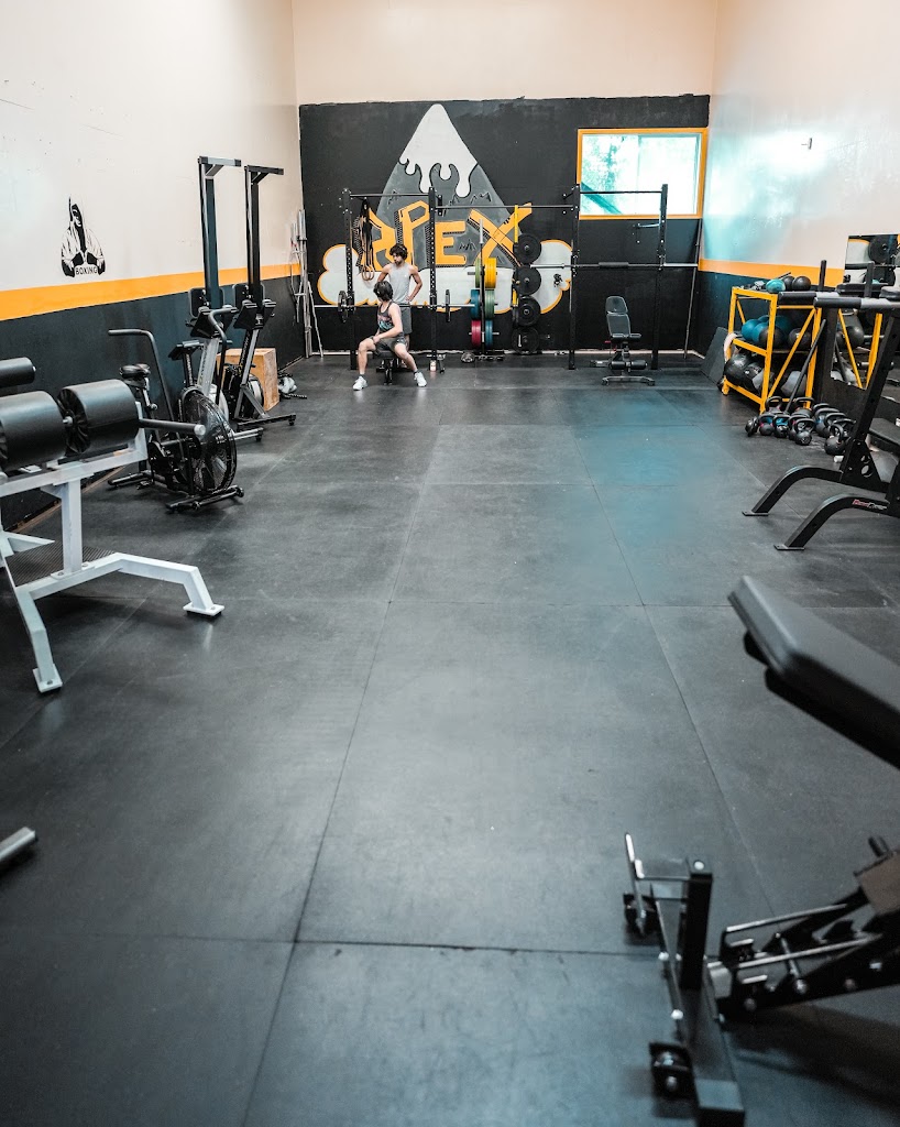  Apex Fitness Collective