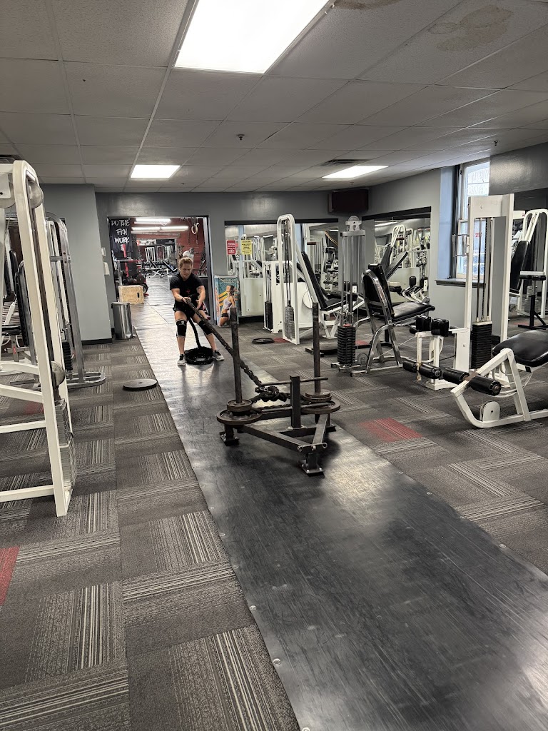  Cumberland Muscle - Personal Training