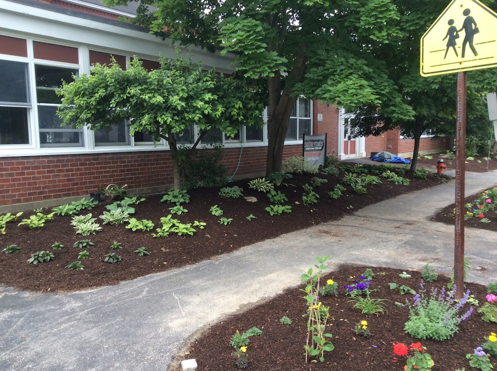  No-BS Health & Fitness