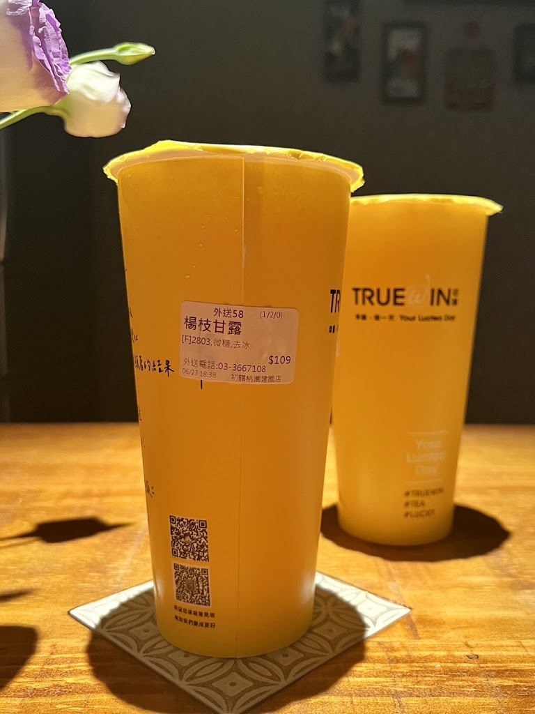 TrueWin初韻 桃園建國店 的照片