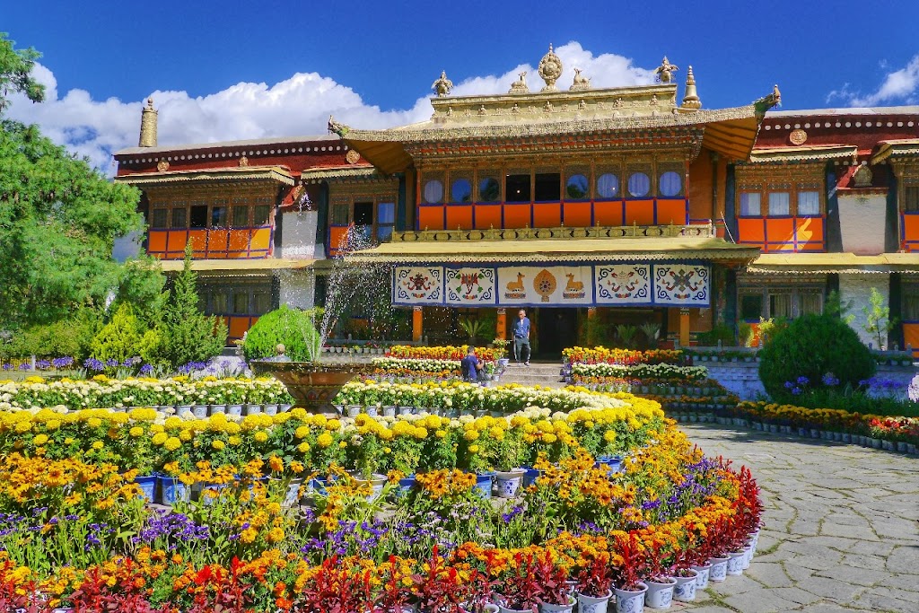 Aamod At Dharamshala