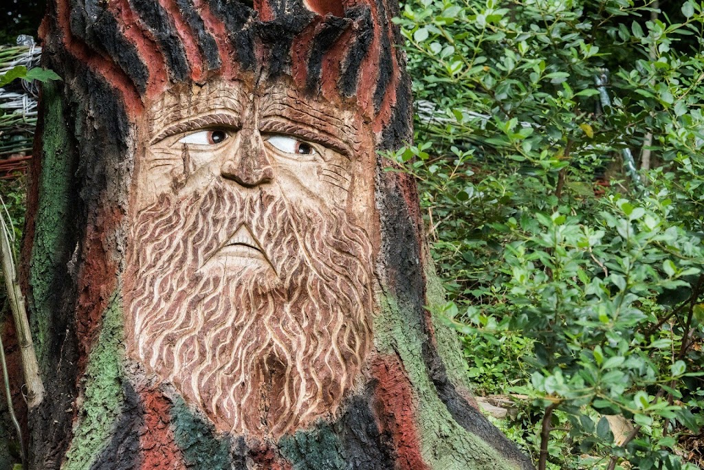 Bosque Magico de Ugasko