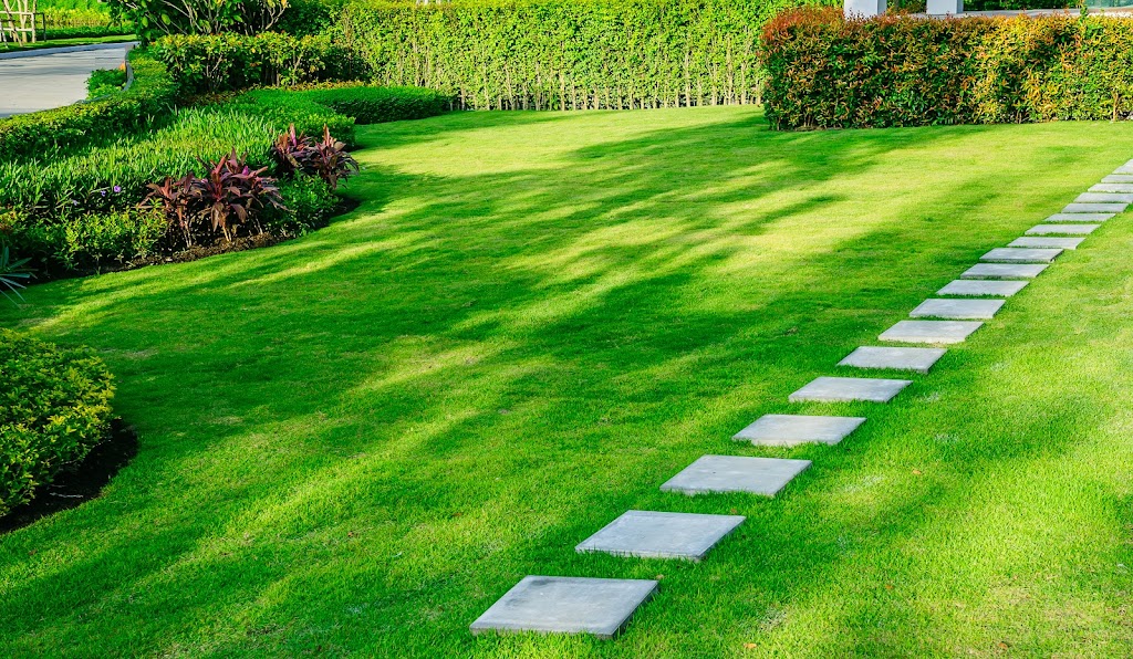 Lawn care service in Clear Lake