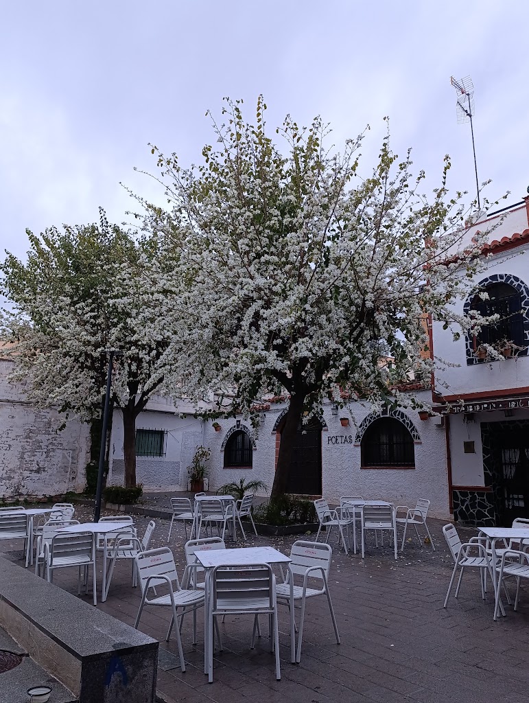 Taberna el Pulpo — Ambiente