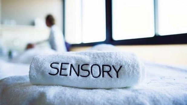 Sensory esthetic experience gandia