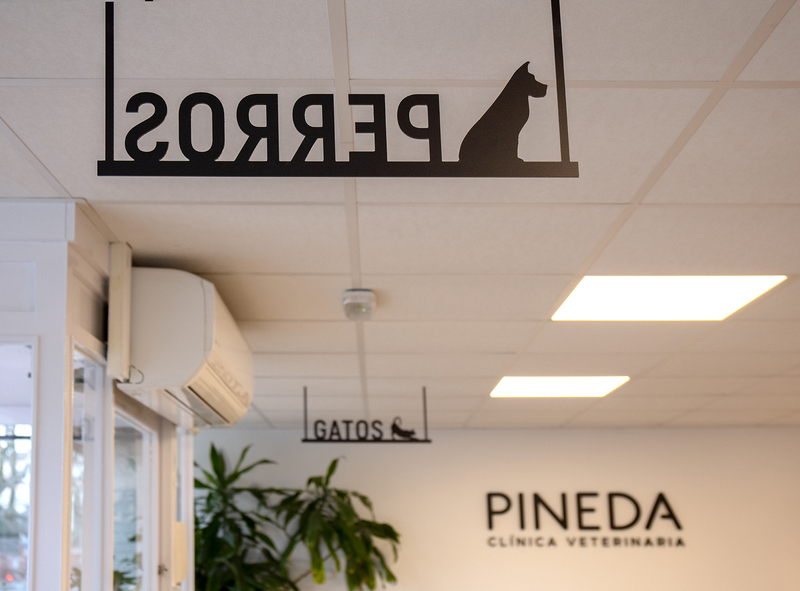 Clinica Veterinaria Pineda — Del propietario