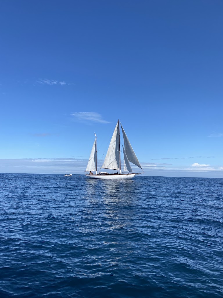 Ostarte Sailing — Del propietario