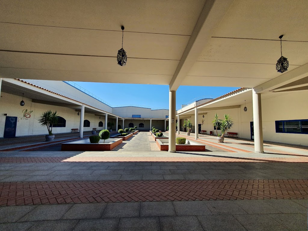 PICUALIA | Aceites de oliva, Oleoturismo y Restaurante