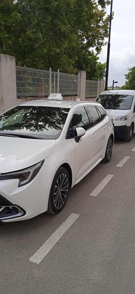 TAXI- REQUENA-AVILA DEL CAMPO FERNANDO