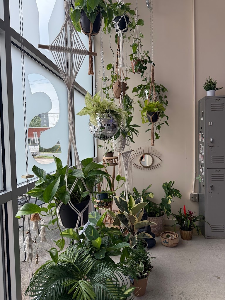  YOGA SOUL•LEC•TIVE