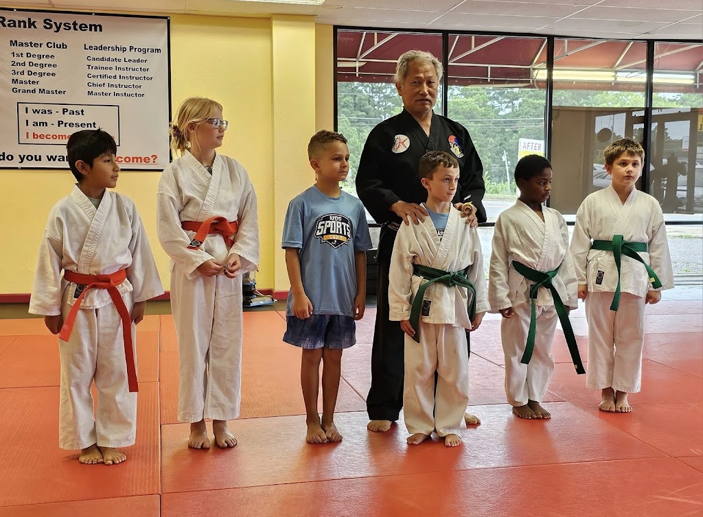  Human Engineer Taekwondo