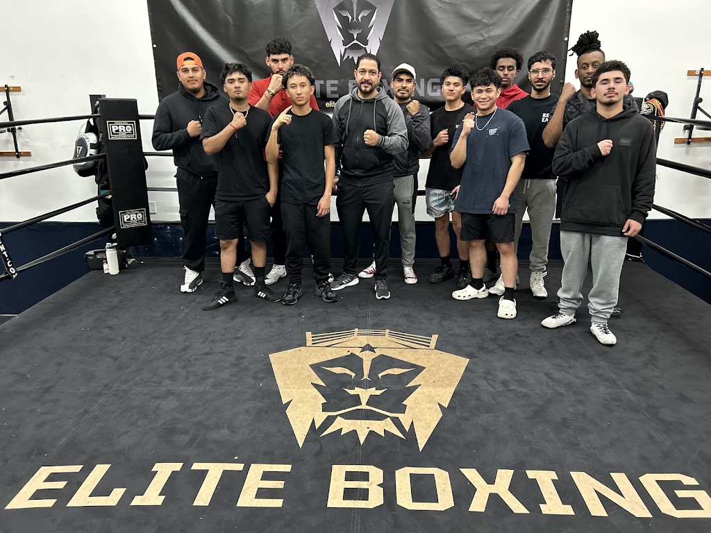  Elite Boxing