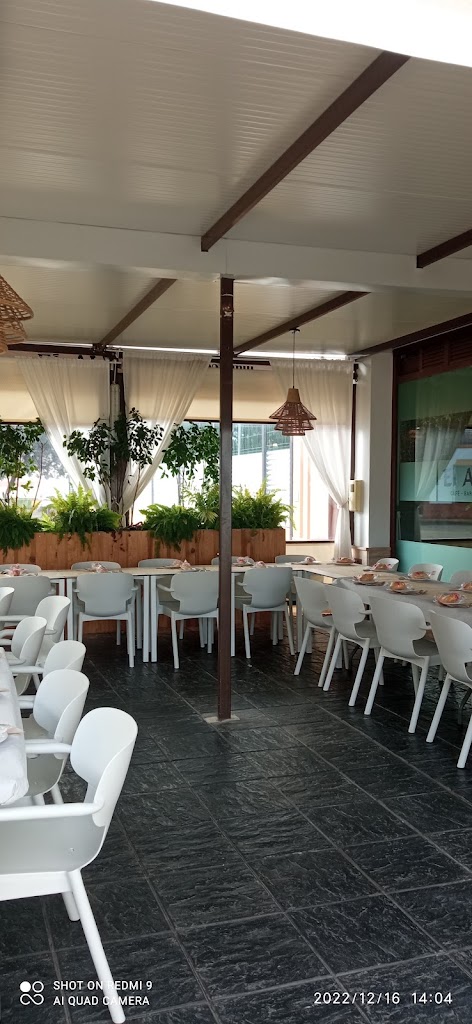 El Albero Gastrobar — Todas
