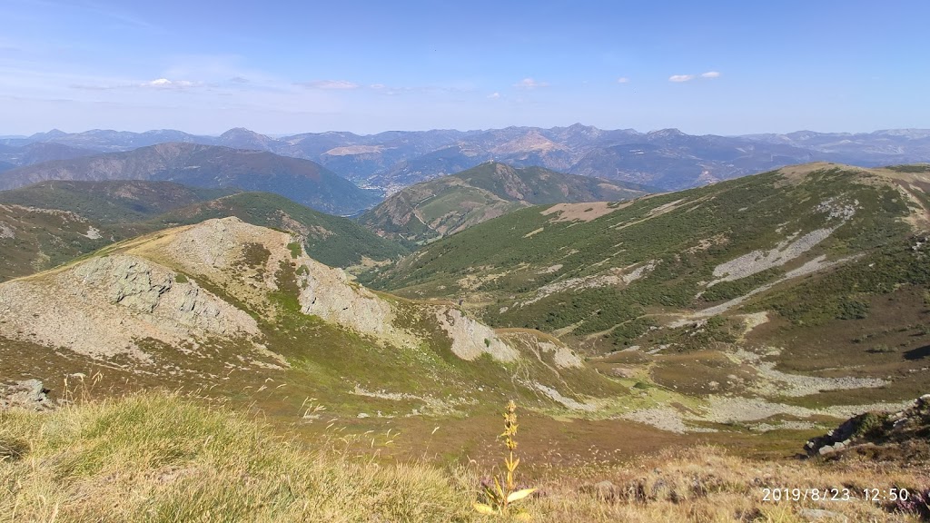 Pico Nevadin