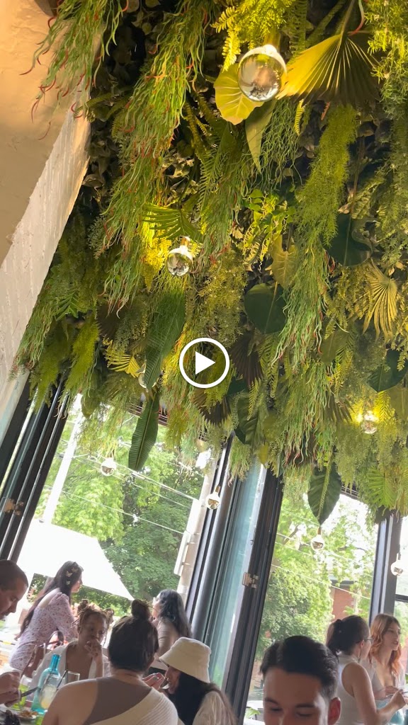 Videos