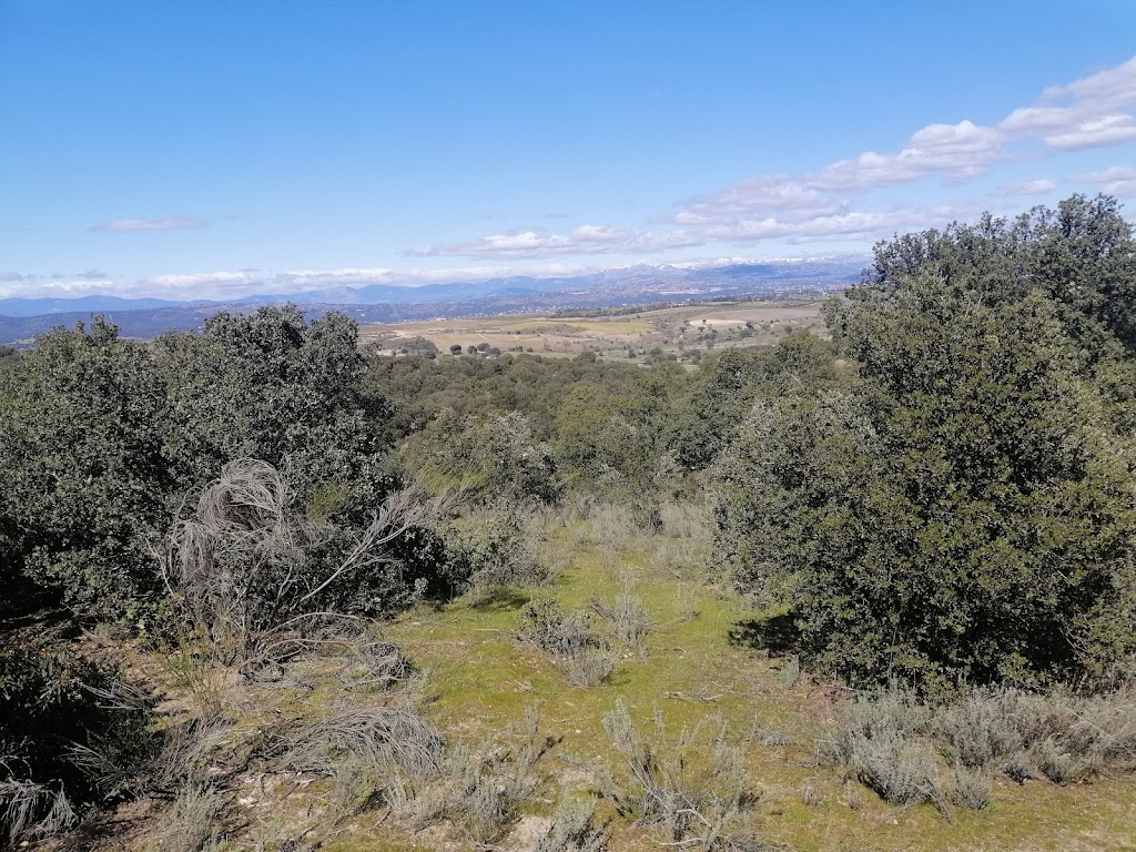 Monte Dehesa Majadahonda