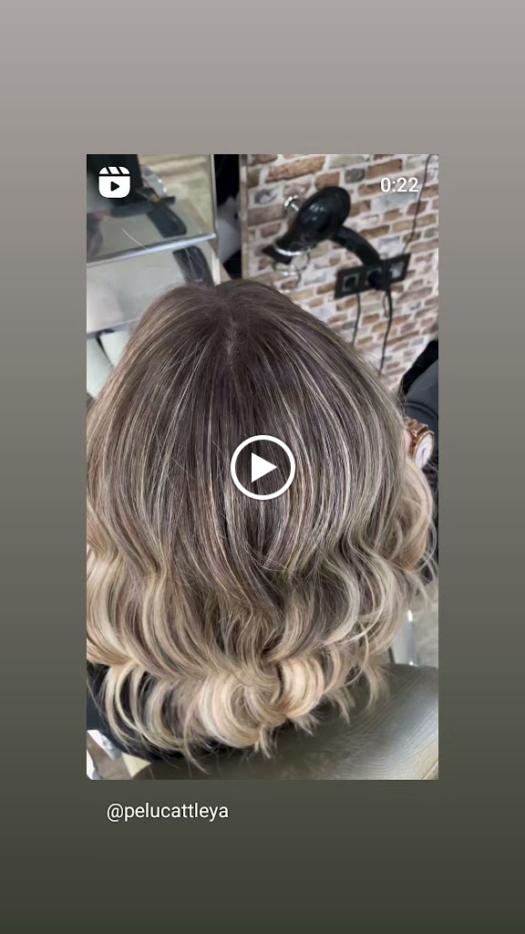 Cattleya Hair Salon — Del propietario