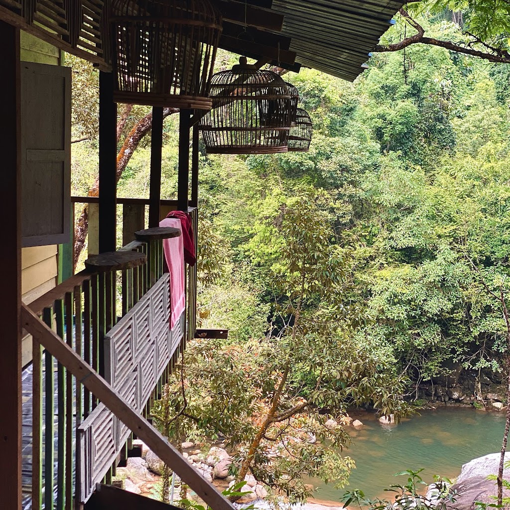 Ulu Tupai Rimba Alam