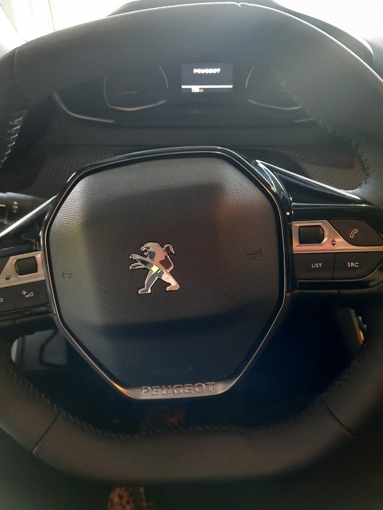 PEUGEOT DURANGO — Interior
