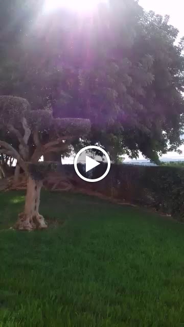 Albalar - Residencia para la tercera edad — Videos