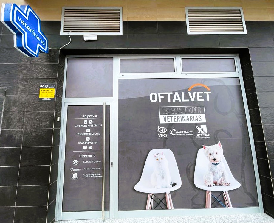 Oftalvet - Especialidades Veterinarias — Del propietario