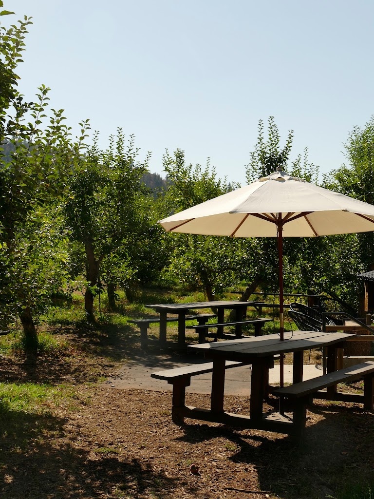 Cambium - in Vernon