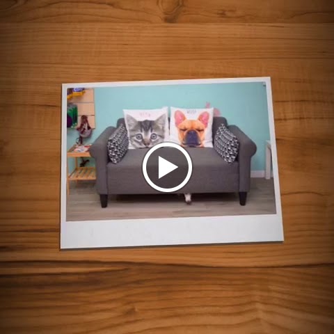El Trebol Clinica Veterinaria — Videos